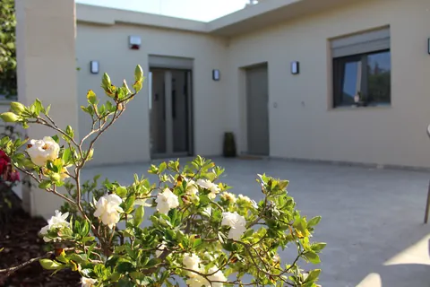 Gardenias in flower in front of the house